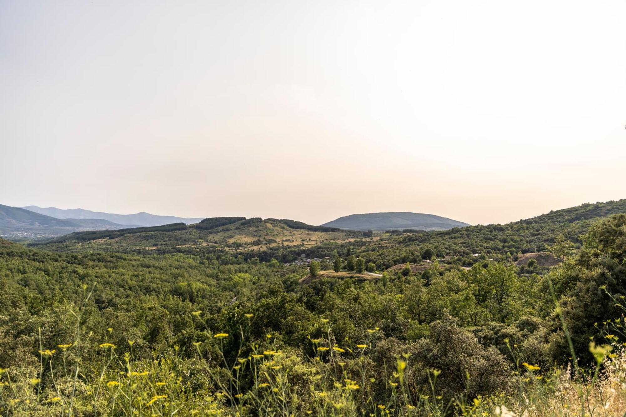 Bembibre  Casa De Turismo Rural Sardom3 מראה חיצוני תמונה