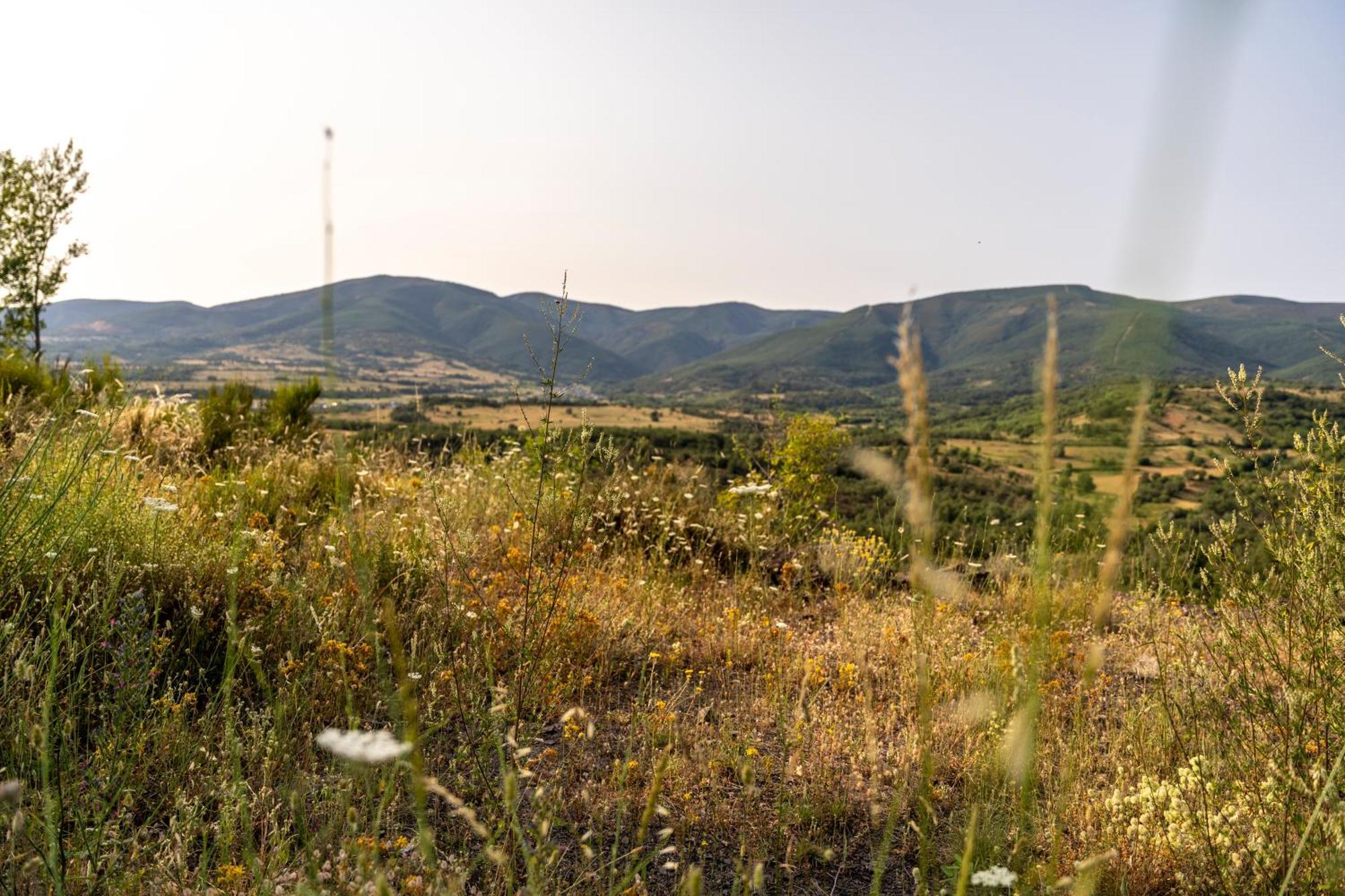 Bembibre  Casa De Turismo Rural Sardom3 מראה חיצוני תמונה